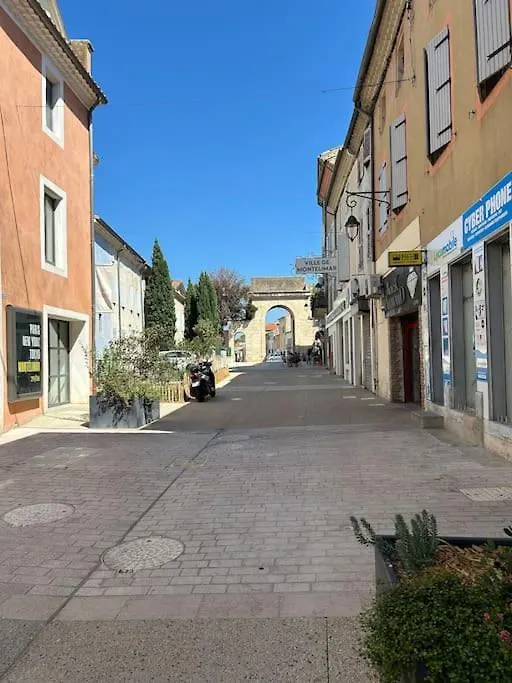 Maison Des Orchidees Montelimar 0*,